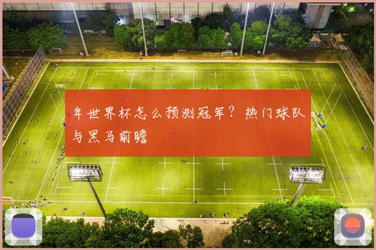 年世界杯怎么预测冠军？热门球队与黑马前瞻
