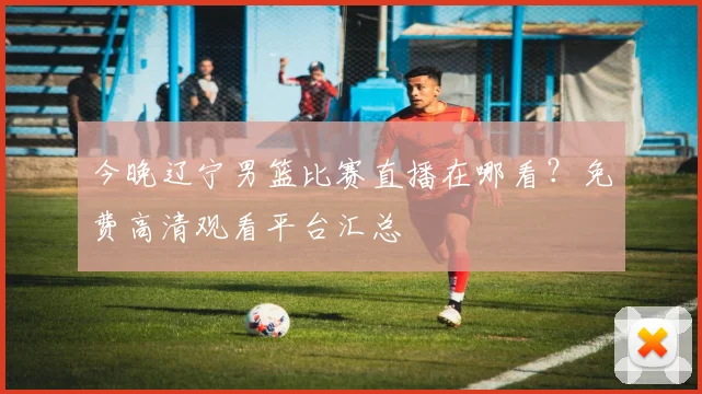 今晚辽宁男篮比赛直播在哪看?免费高清观看平台汇总