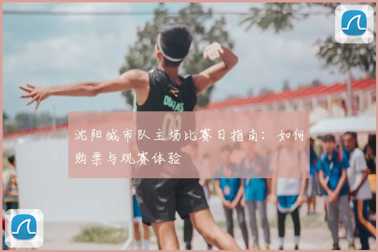 沈阳城市队主场比赛日指南：如何购票与观赛体验