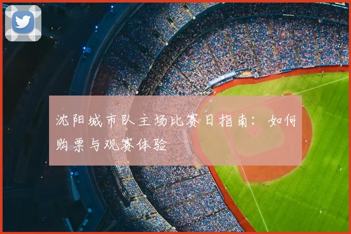 沈阳城市队主场比赛日指南：如何购票与观赛体验