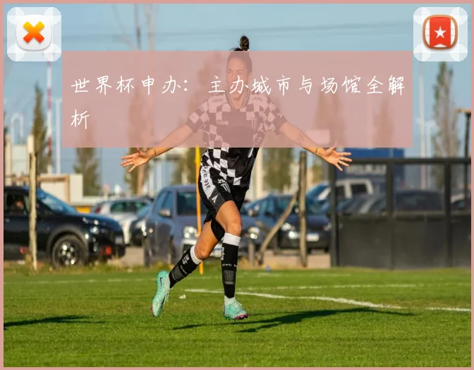 世界杯申办:主办城市与场馆全解析
